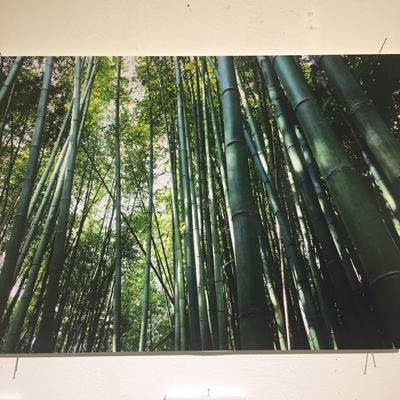 実践女子大学写真部 アート 国立